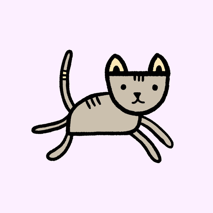Learn to Draw Cat